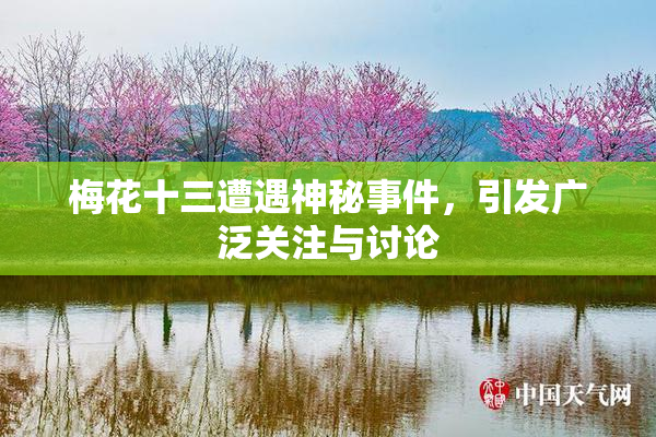 梅花十三遭遇神秘事件，引发广泛关注与讨论