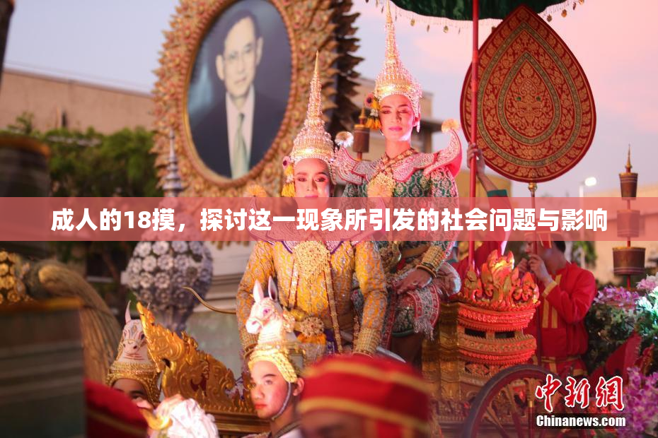 成人的18摸，探讨这一现象所引发的社会问题与影响