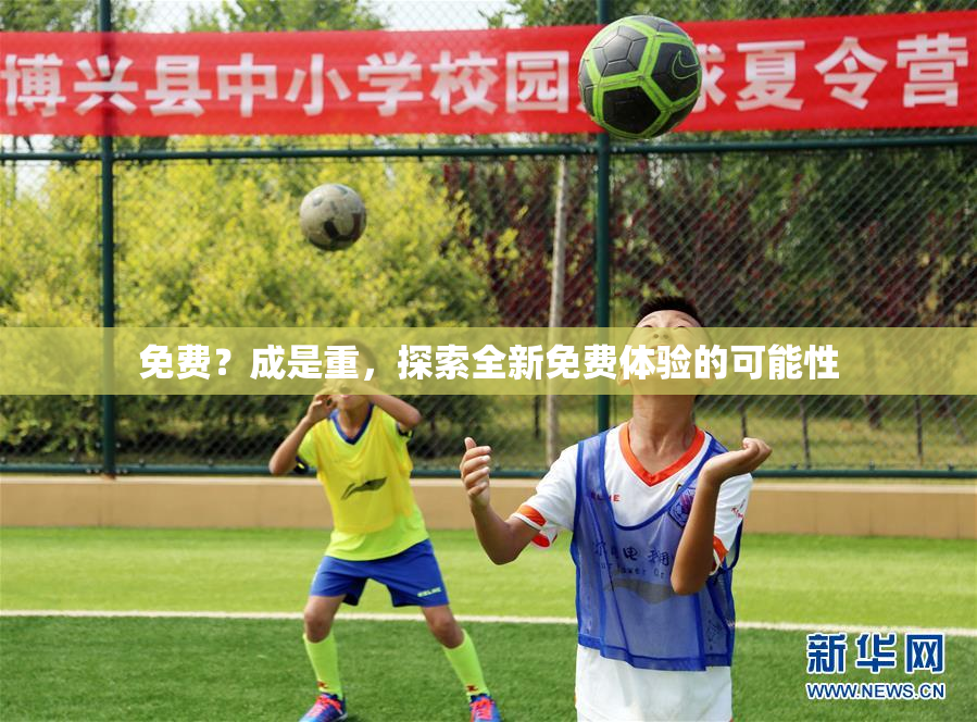 免费？成是重，探索全新免费体验的可能性