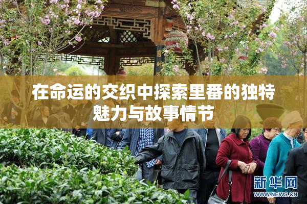 在命运的交织中探索里番的独特魅力与故事情节