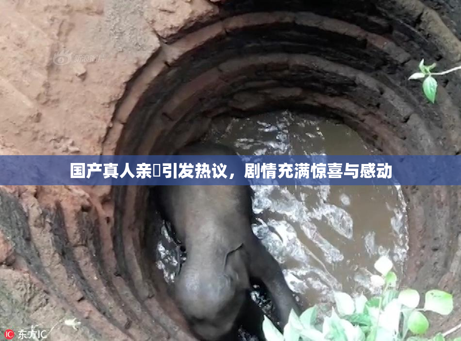 国产真人亲妺引发热议，剧情充满惊喜与感动