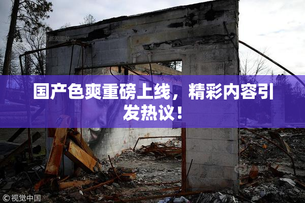 国产色爽重磅上线，精彩内容引发热议！