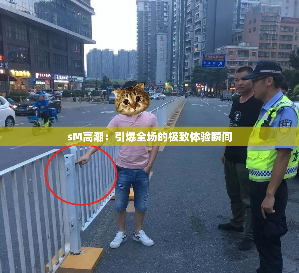 sM高潮：引爆全场的极致体验瞬间