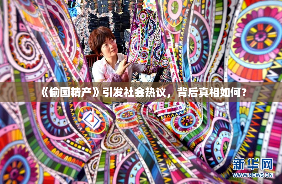 《偷国精产》引发社会热议，背后真相如何？