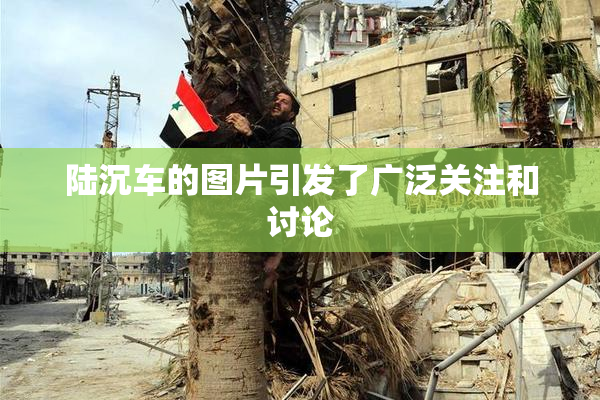 陆沉车的图片引发了广泛关注和讨论