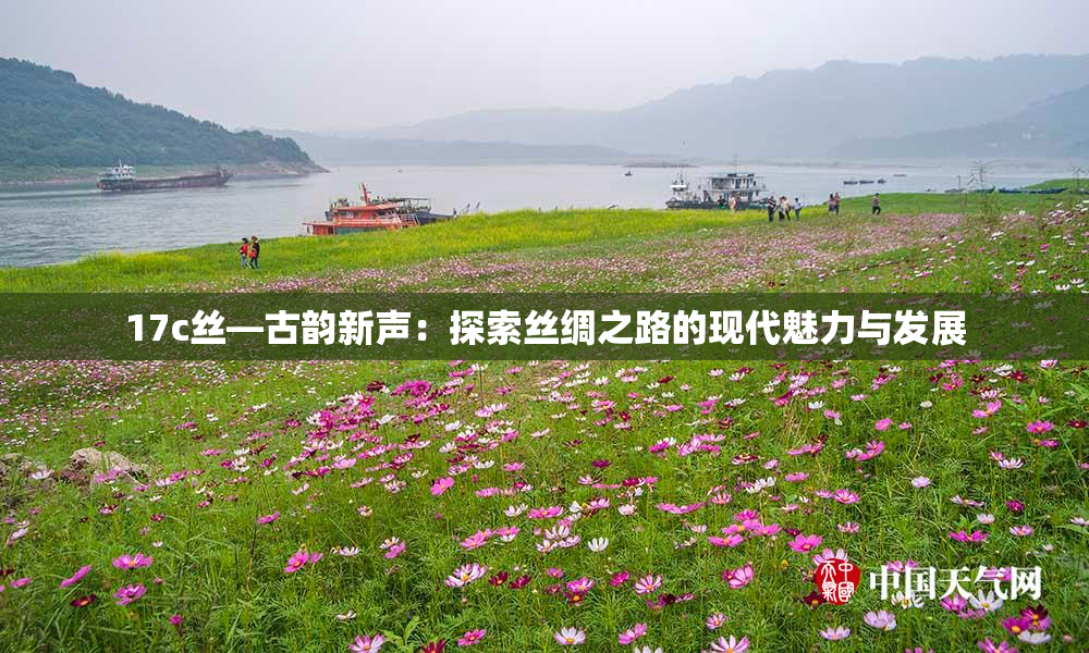 17c丝—古韵新声：探索丝绸之路的现代魅力与发展