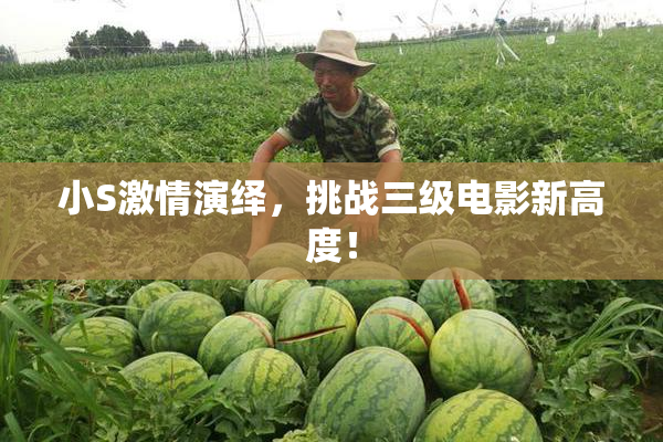 小S激情演绎，挑战三级电影新高度！