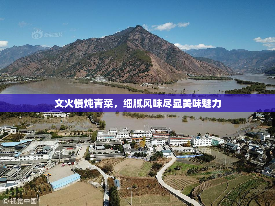 文火慢炖青菜，细腻风味尽显美味魅力