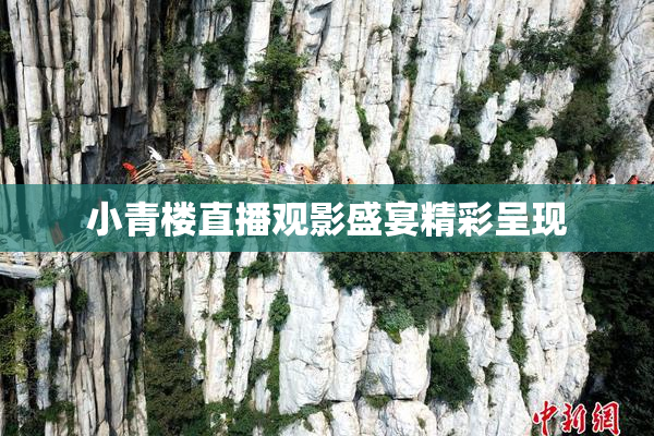 小青楼直播观影盛宴精彩呈现