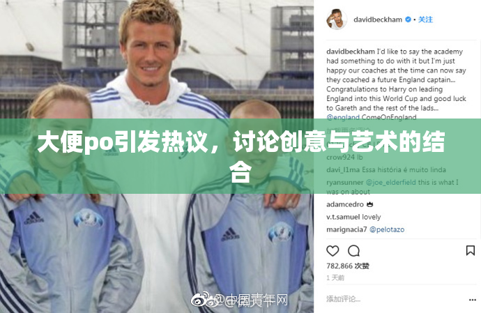 大便po引发热议，讨论创意与艺术的结合