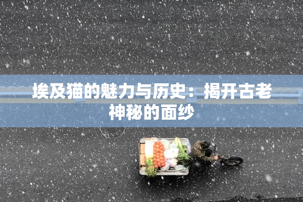 埃及猫的魅力与历史：揭开古老神秘的面纱