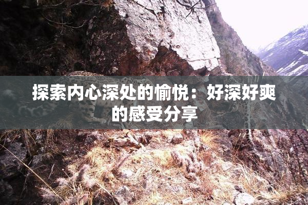 探索内心深处的愉悦：好深好爽的感受分享
