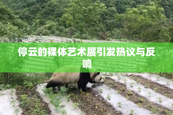 停云的裸体艺术展引发热议与反响