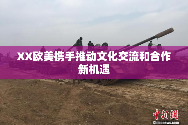 XX欧美携手推动文化交流和合作新机遇