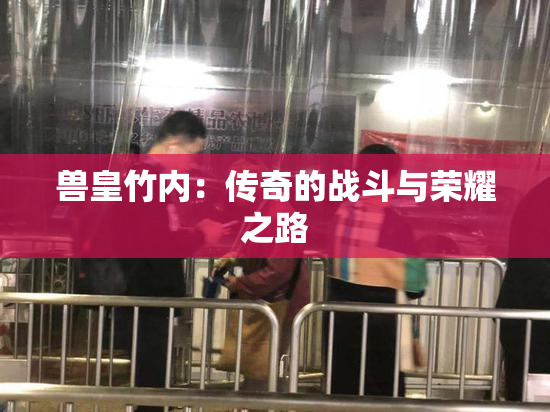 兽皇竹内：传奇的战斗与荣耀之路