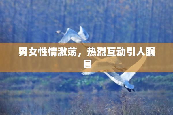 男女性情激荡，热烈互动引人瞩目