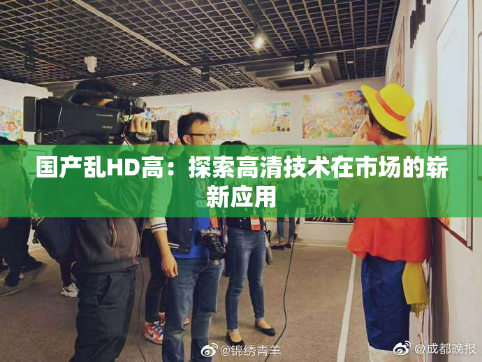 国产乱HD高：探索高清技术在市场的崭新应用