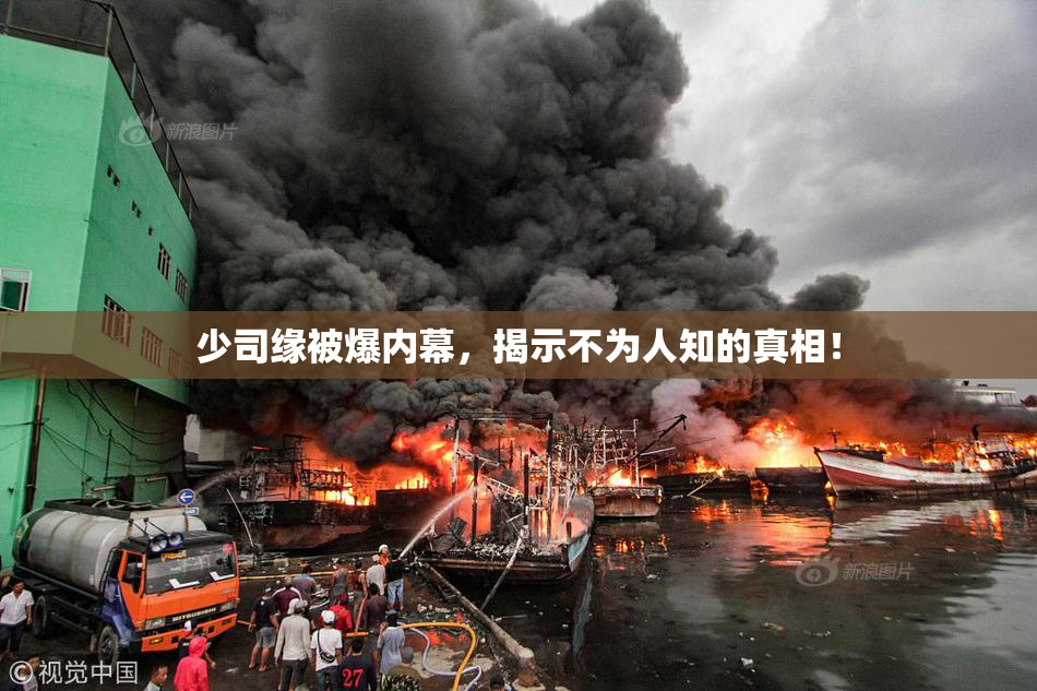 少司缘被爆内幕，揭示不为人知的真相！