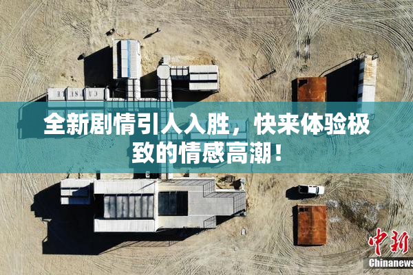 全新剧情引人入胜，快来体验极致的情感高潮！