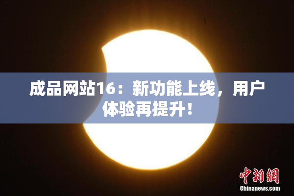 成品网站16：新功能上线，用户体验再提升！