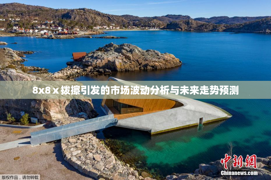 8x8ⅹ拨擦引发的市场波动分析与未来走势预测
