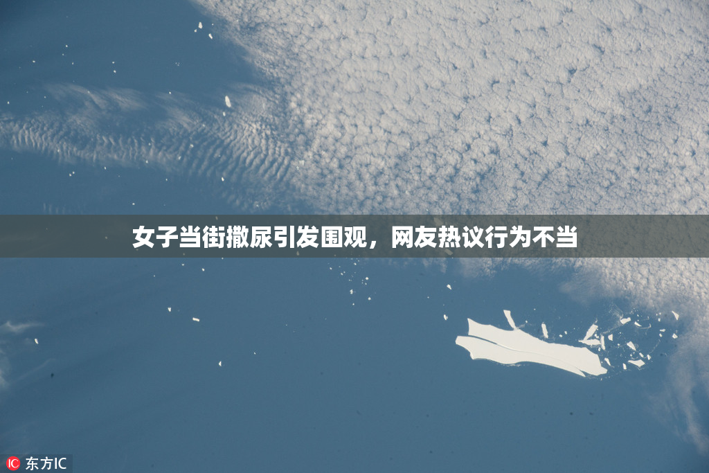 女子当街撒尿引发围观，网友热议行为不当