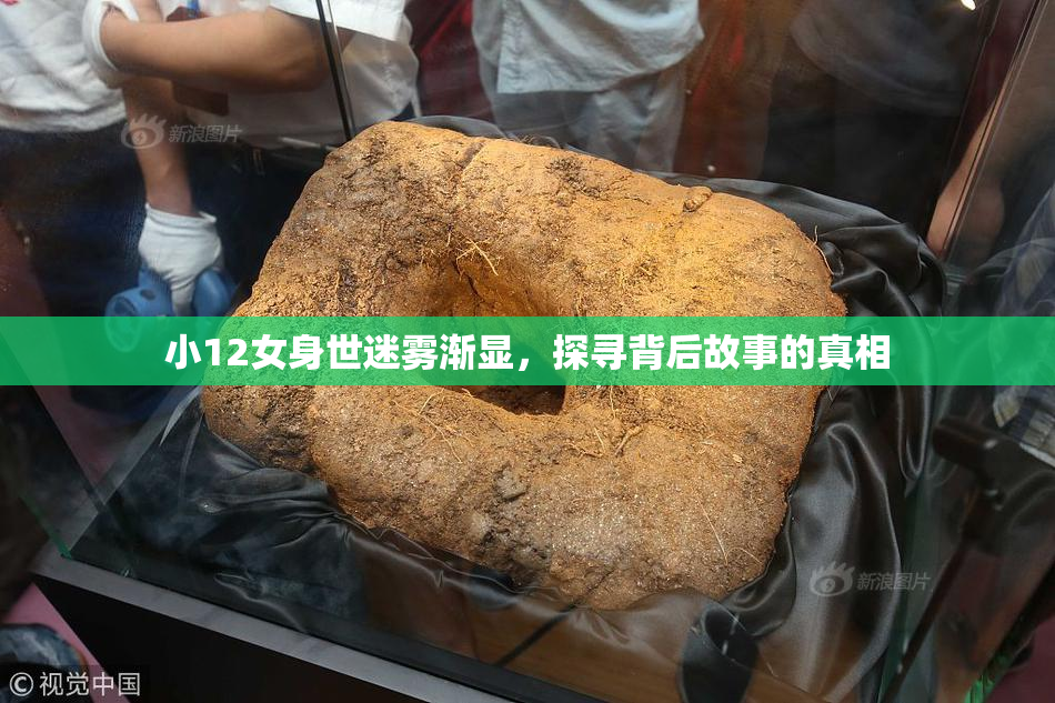 小12女身世迷雾渐显，探寻背后故事的真相