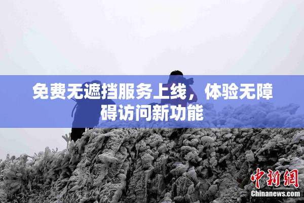 免费无遮挡服务上线，体验无障碍访问新功能