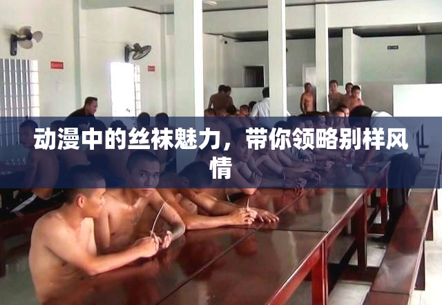 动漫中的丝袜魅力，带你领略别样风情