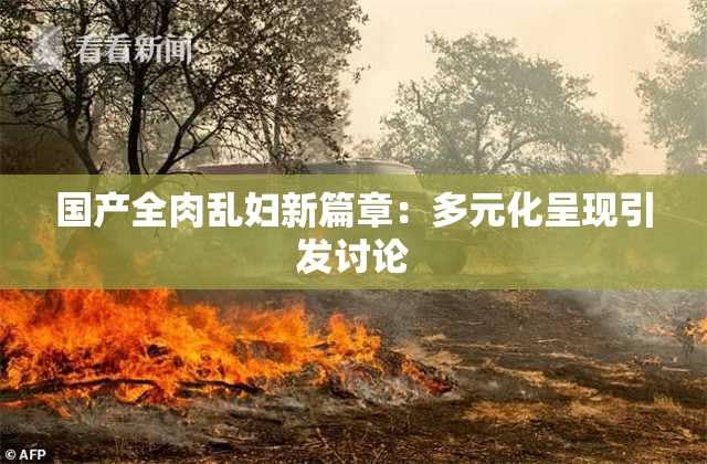 国产全肉乱妇新篇章：多元化呈现引发讨论