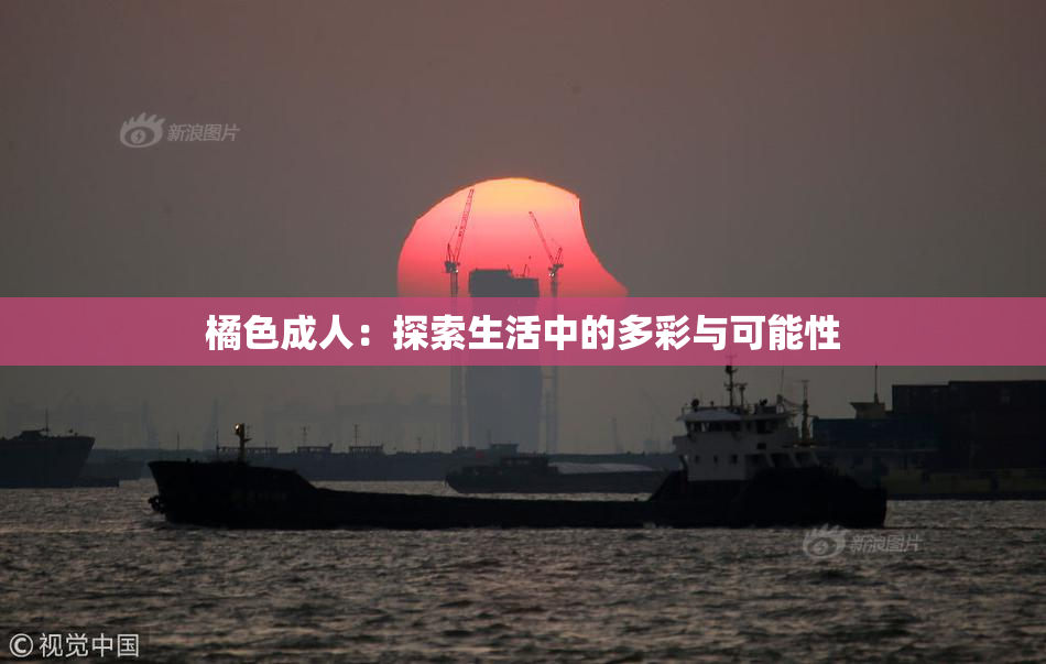 橘色成人：探索生活中的多彩与可能性