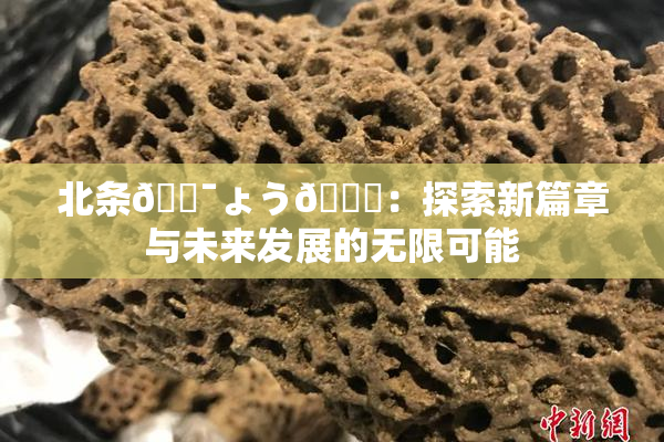 北条🔯ょう🍓：探索新篇章与未来发展的无限可能