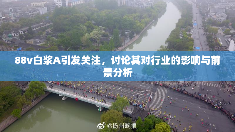 88v白浆A引发关注，讨论其对行业的影响与前景分析