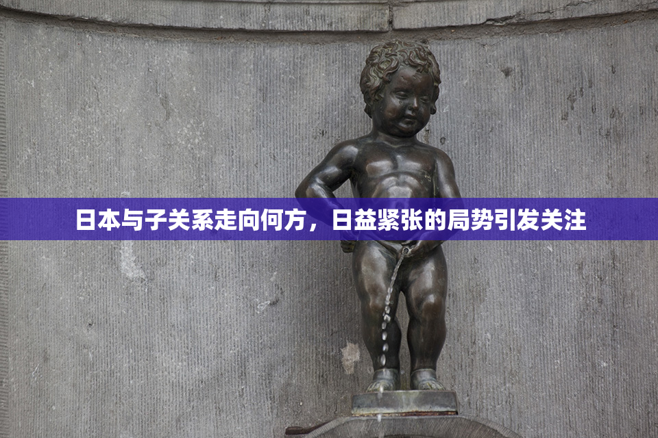 日本与子关系走向何方，日益紧张的局势引发关注