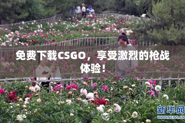 免费下载CSGO，享受激烈的枪战体验！