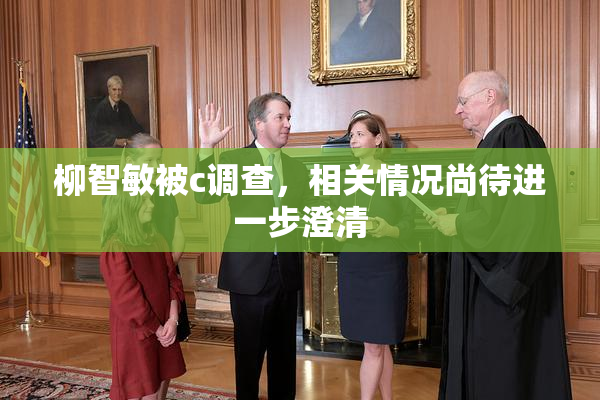 柳智敏被c调查，相关情况尚待进一步澄清