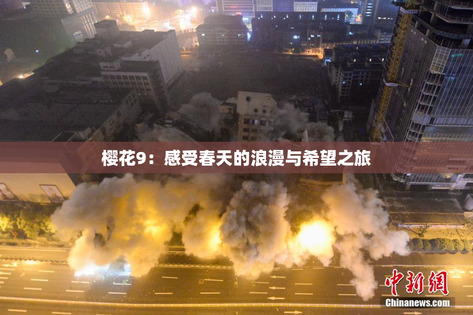 樱花9：感受春天的浪漫与希望之旅