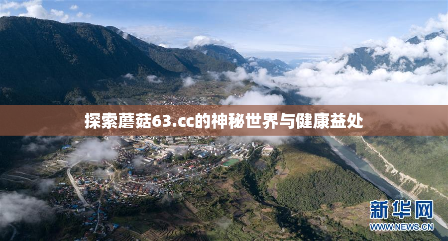探索蘑菇63.㏄的神秘世界与健康益处