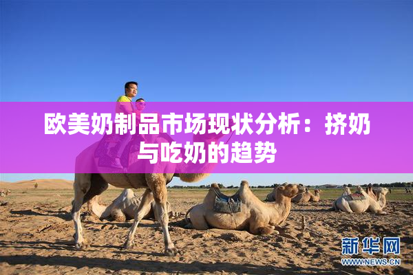 欧美奶制品市场现状分析：挤奶与吃奶的趋势