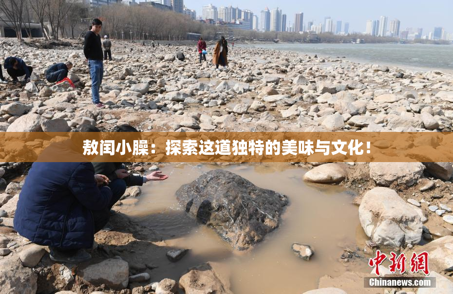 敖闰小臊：探索这道独特的美味与文化！