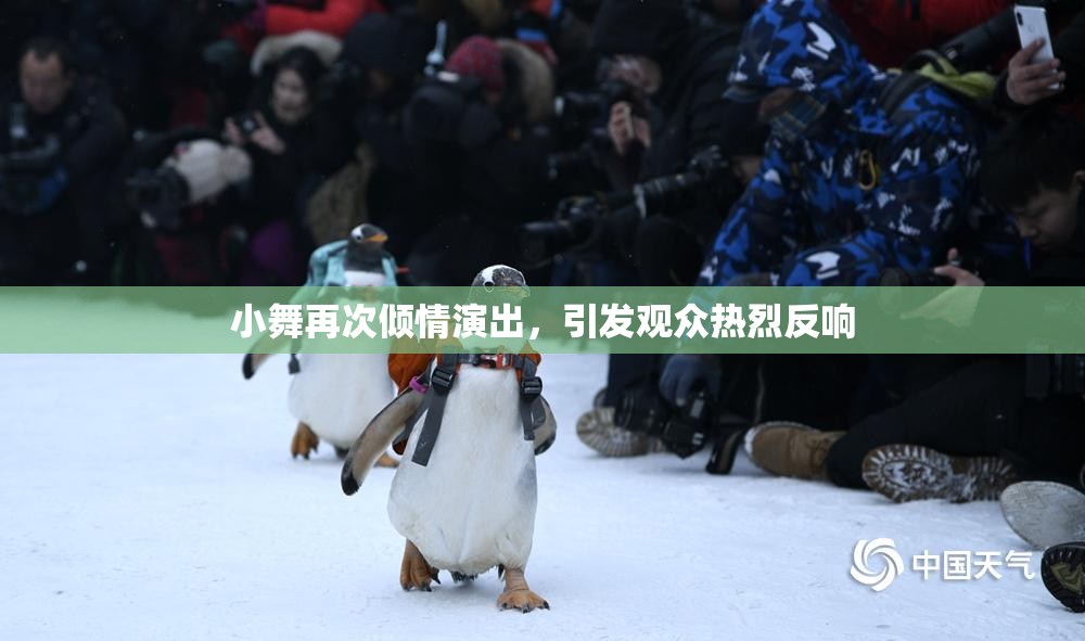 小舞再次倾情演出，引发观众热烈反响