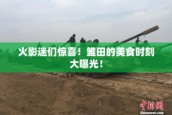 火影迷们惊喜！雏田的美食时刻大曝光！