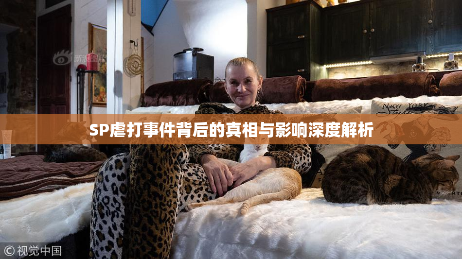 SP虐打事件背后的真相与影响深度解析