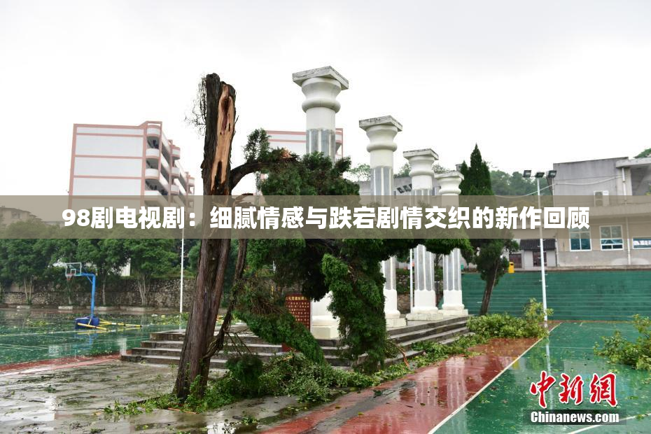98剧电视剧：细腻情感与跌宕剧情交织的新作回顾