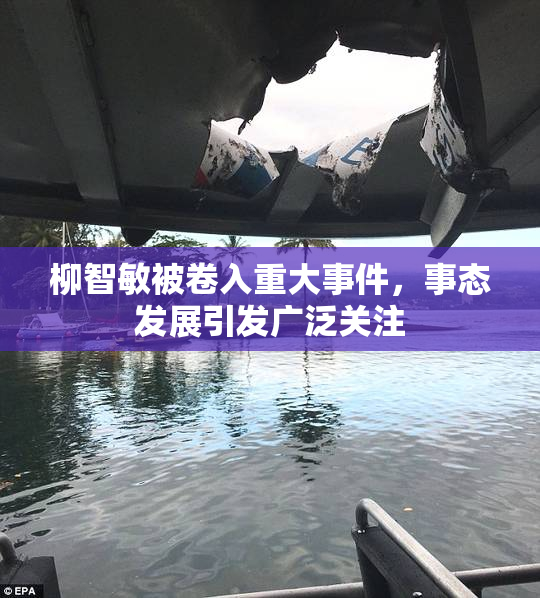 柳智敏被卷入重大事件，事态发展引发广泛关注