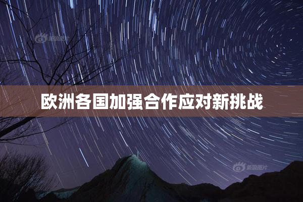 欧洲各国加强合作应对新挑战