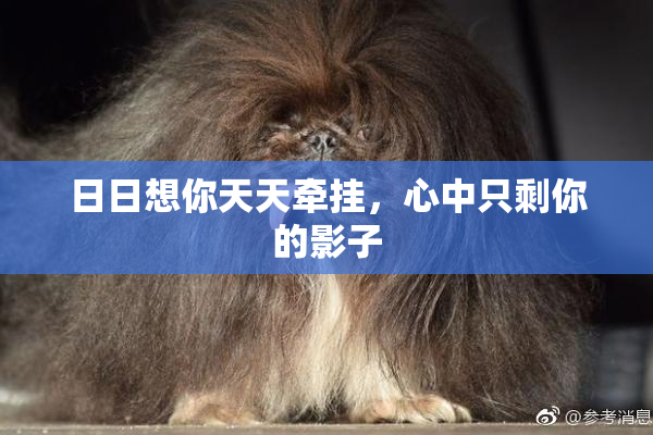 日日想你天天牵挂，心中只剩你的影子