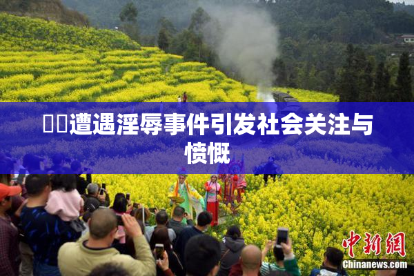 妺妺遭遇淫辱事件引发社会关注与愤慨