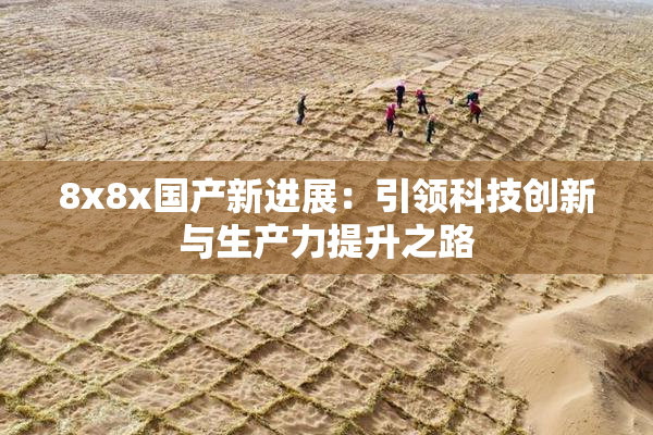 8x8x国产新进展：引领科技创新与生产力提升之路