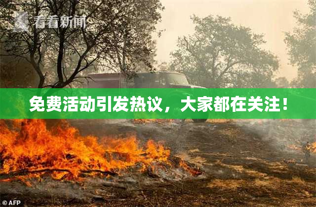 免费活动引发热议，大家都在关注！